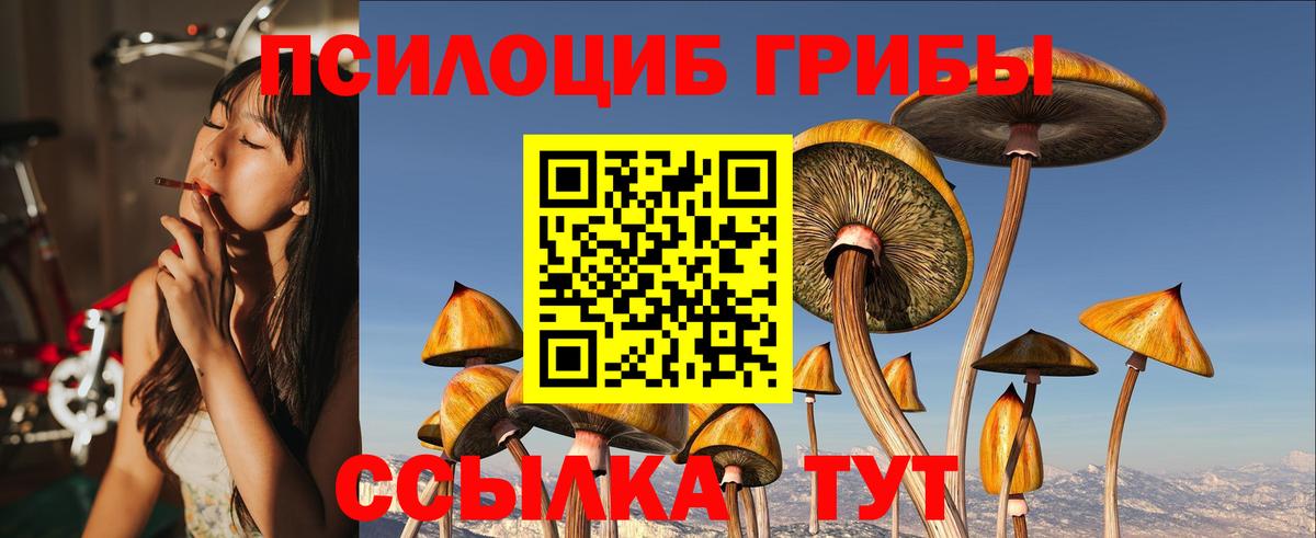 Новокузнецк  Псилоцибиновые грибы мухоморы  Псилоцибиновые грибы мухоморы  Вход с VPN 